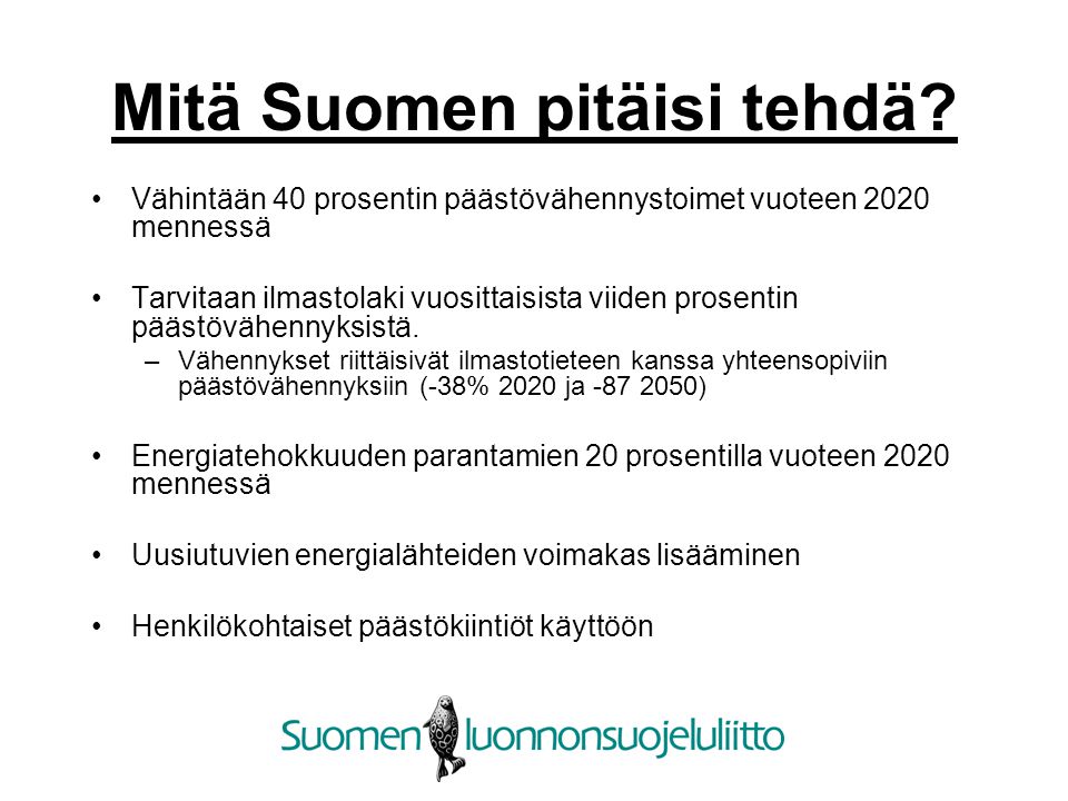 Mitä Suomen pitäisi tehdä