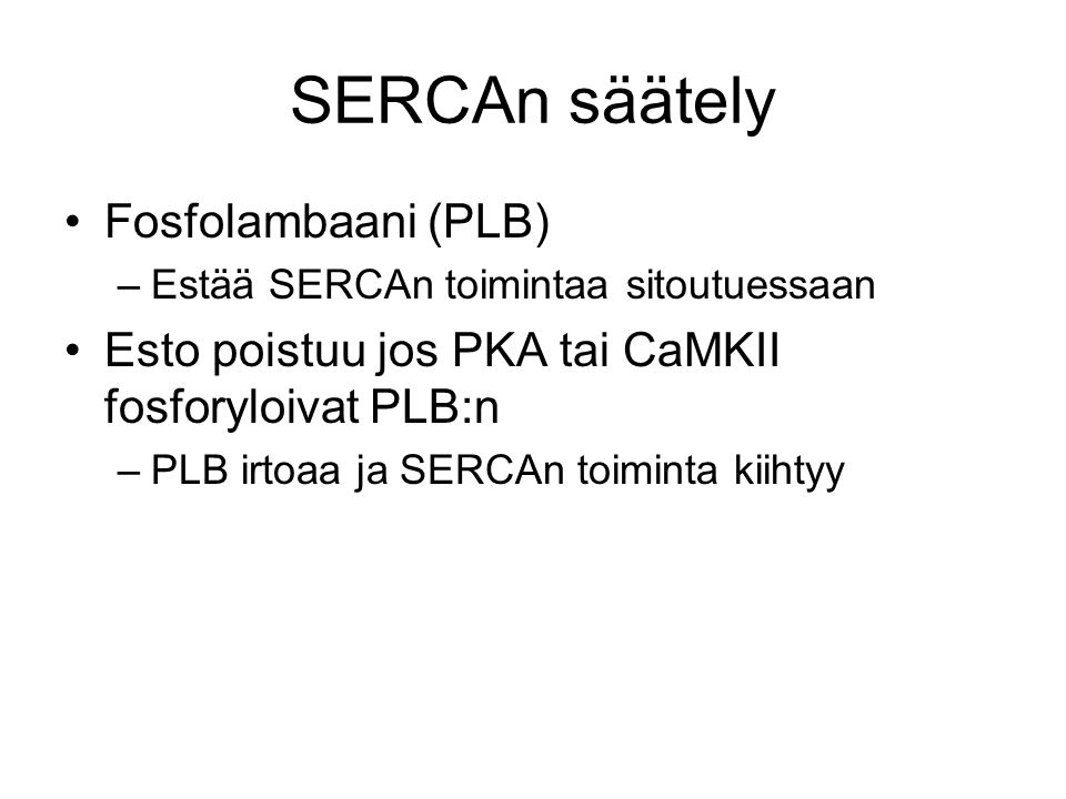 SERCAn säätely Fosfolambaani (PLB)