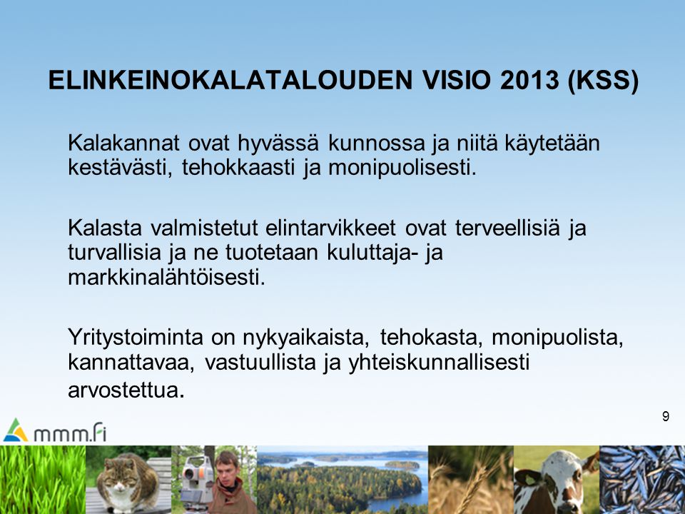 ELINKEINOKALATALOUDEN VISIO 2013 (KSS)