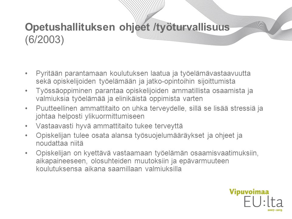 Opetushallituksen ohjeet /työturvallisuus (6/2003)