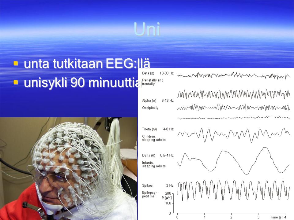 Uni unta tutkitaan EEG:llä unisykli 90 minuuttia