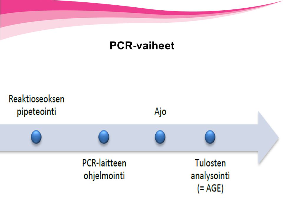 PCR-vaiheet PCR-suunnittelu uupuu tästä