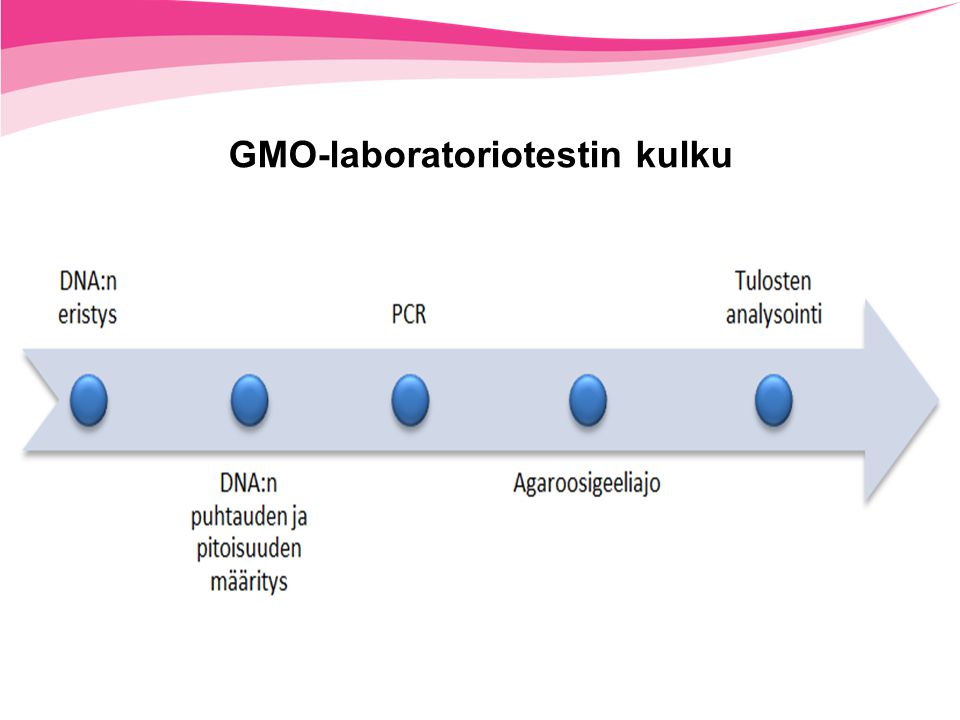 GMO-laboratoriotestin kulku