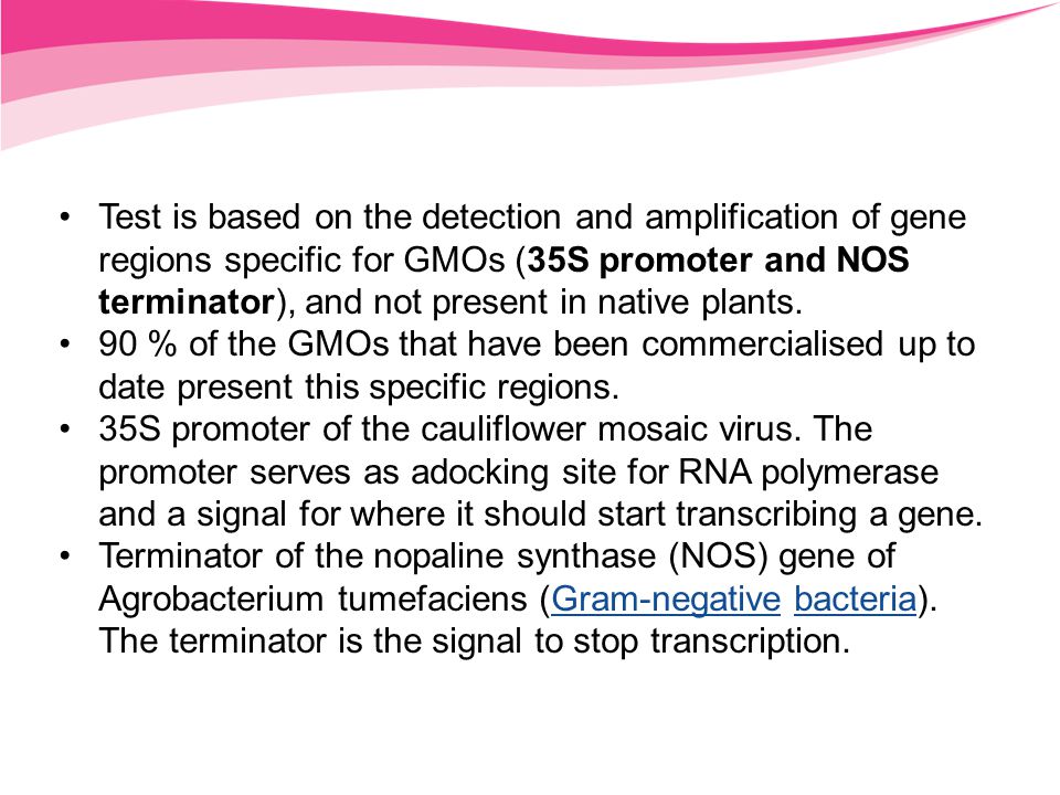 Test is based on the detection and amplification of gene regions specific for GMOs (35S promoter and NOS terminator), and not present in native plants.