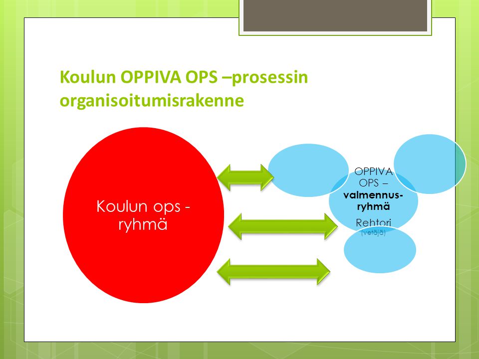 Koulun OPPIVA OPS –prosessin organisoitumisrakenne