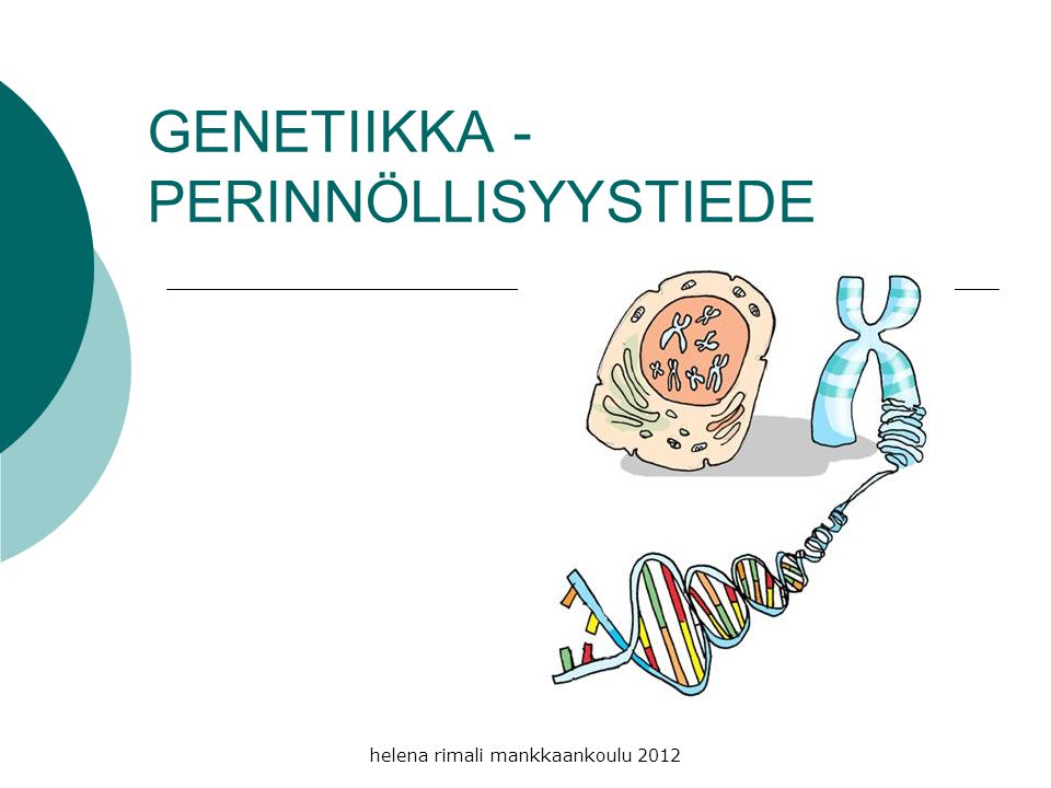 GENETIIKKA - PERINNÖLLISYYSTIEDE