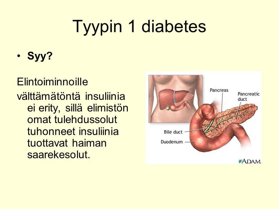 Tyypin 1 diabetes Syy Elintoiminnoille