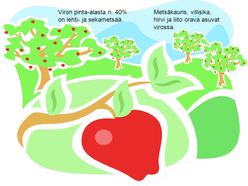 Viron pinta-alasta n. 40% on lehti- ja sekametsää.