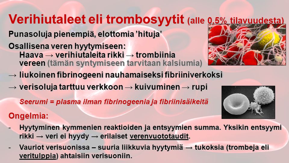 Verihiutaleet eli trombosyytit (alle 0.5% tilavuudesta)