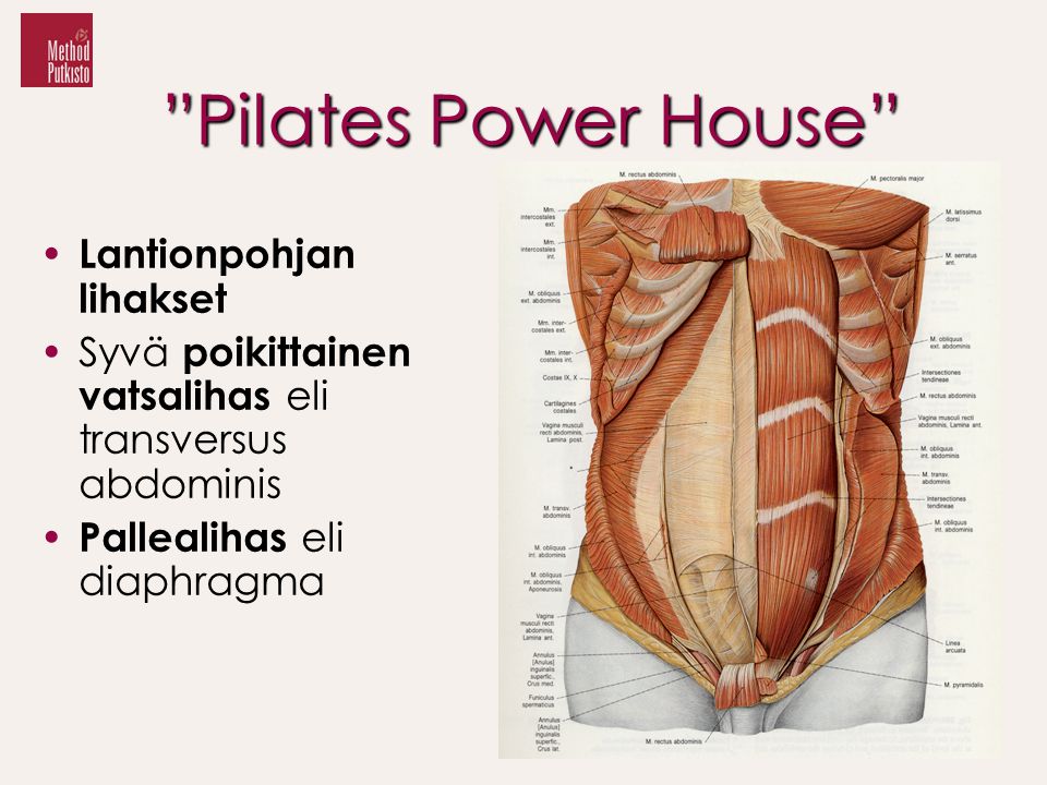 Pilates Power House Lantionpohjan lihakset