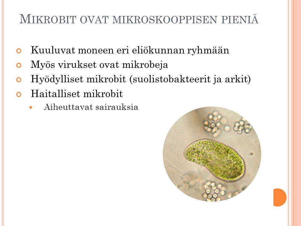Mikrobit ovat mikroskooppisen pieniä