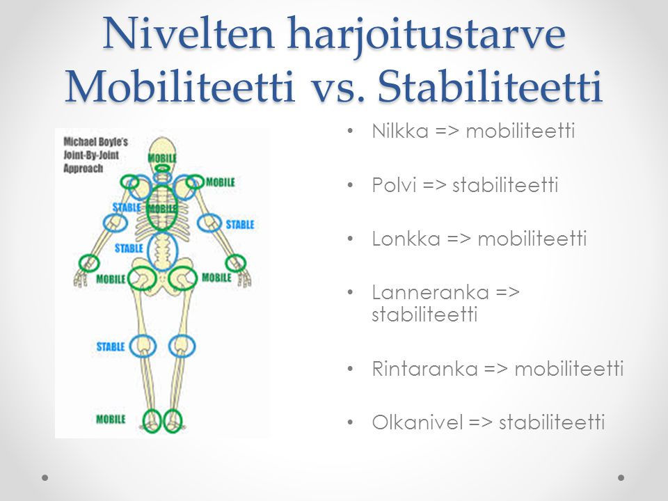 Nivelten harjoitustarve Mobiliteetti vs. Stabiliteetti