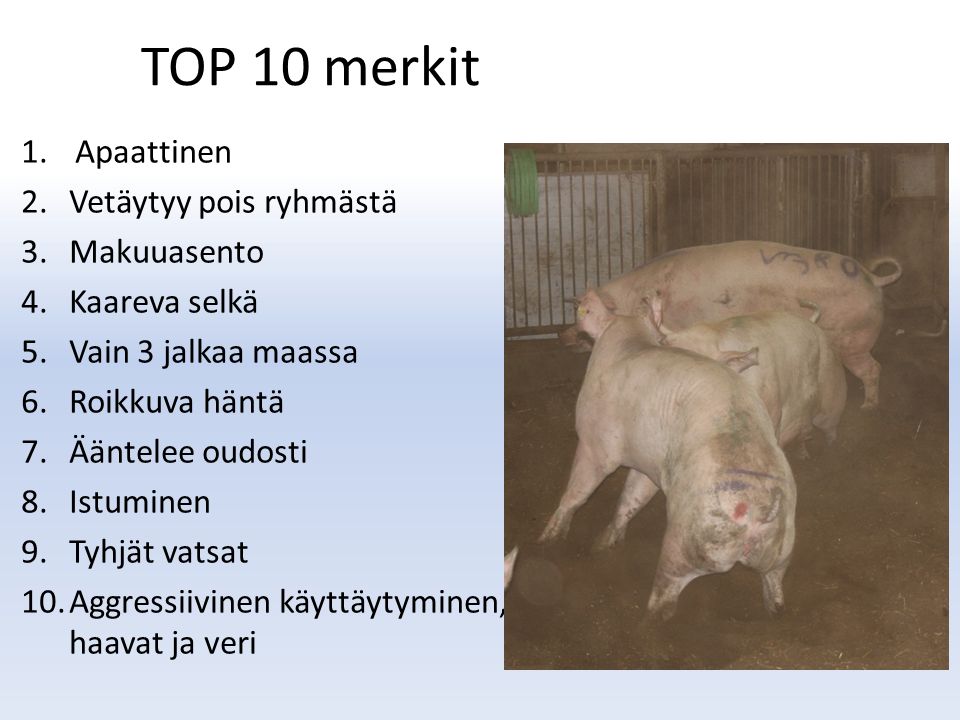 TOP 10 merkit Apaattinen Vetäytyy pois ryhmästä Makuuasento