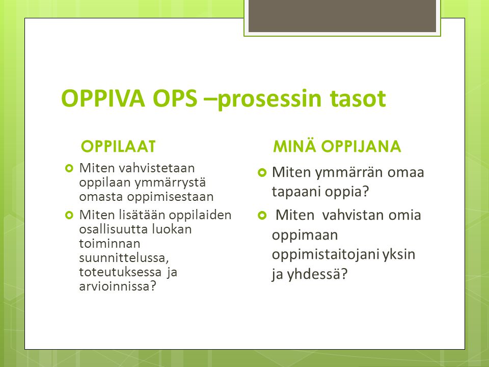 OPPIVA OPS –prosessin tasot
