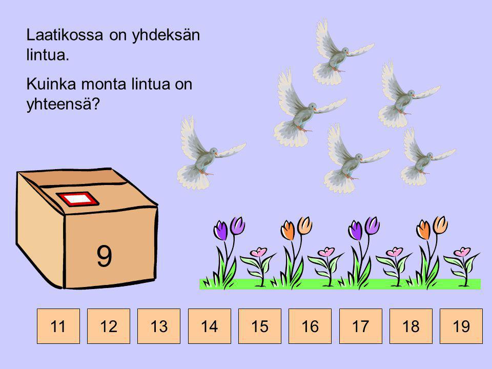 9 Laatikossa on yhdeksän lintua. Kuinka monta lintua on yhteensä 11