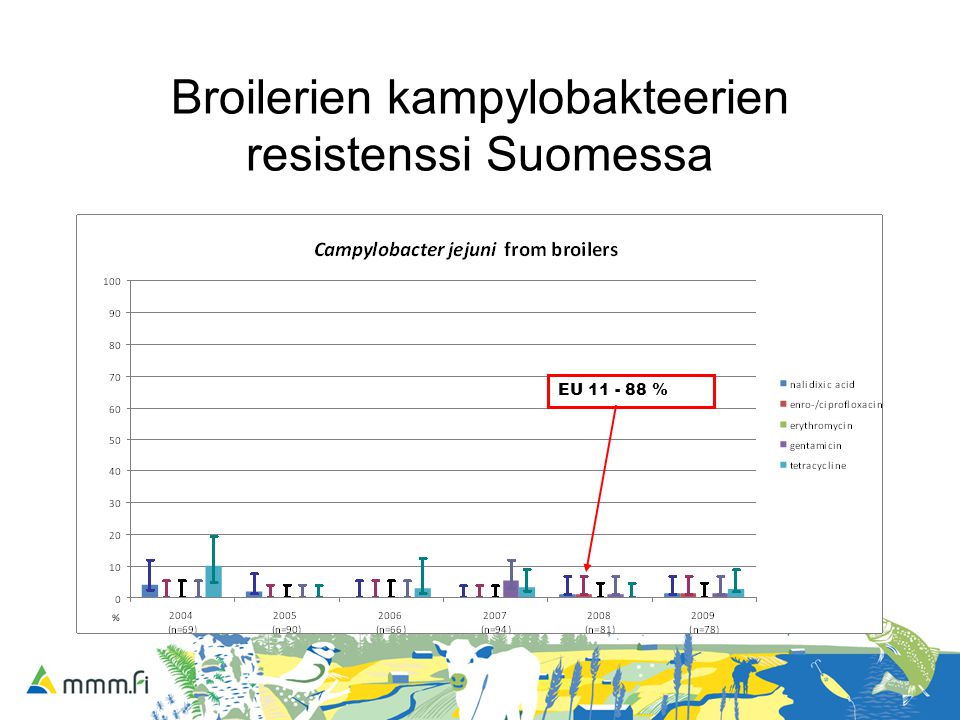 Broilerien kampylobakteerien resistenssi Suomessa