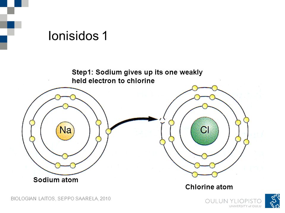 Ionisidos 1 Step1: Sodium gives up its one weakly