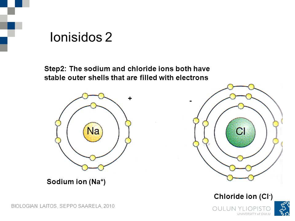 Ionisidos 2 Step2: The sodium and chloride ions both have