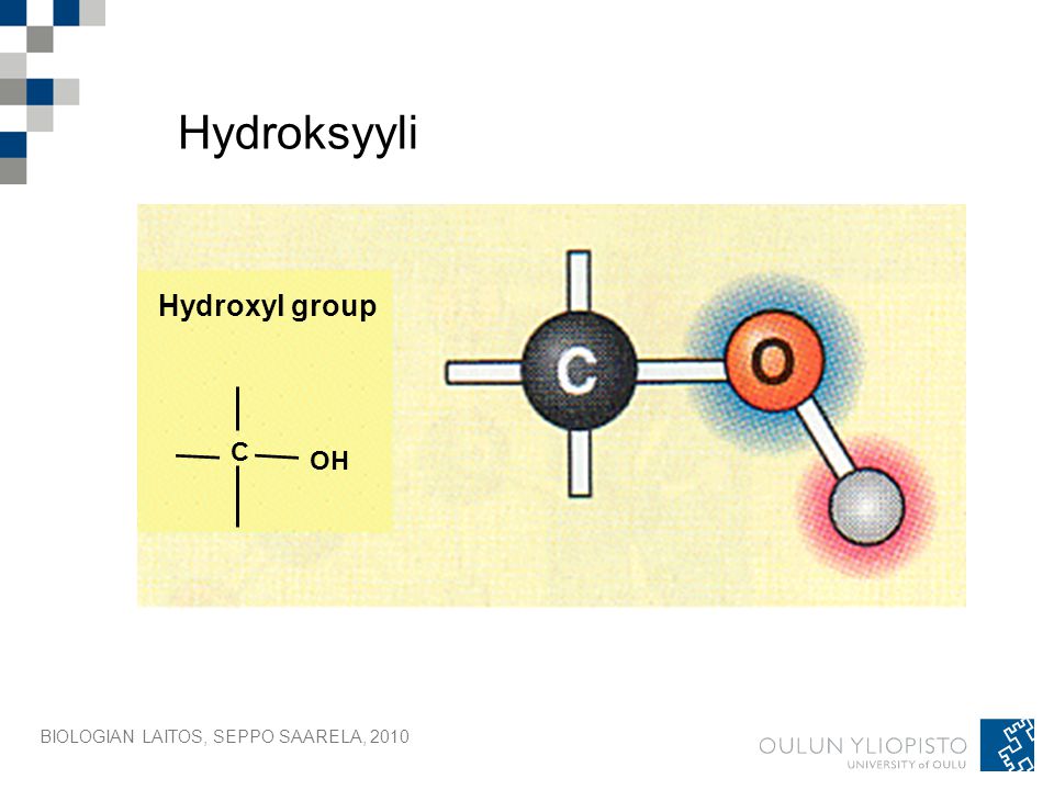 Hydroksyyli Hydroxyl group C OH BIOLOGIAN LAITOS, SEPPO SAARELA, 2010