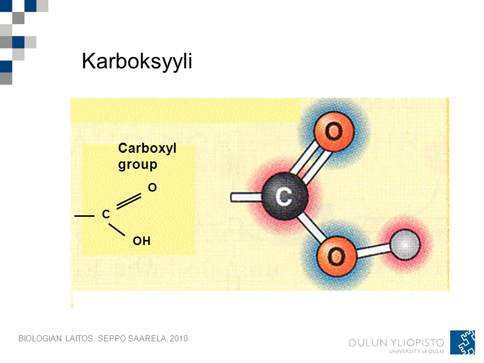 Karboksyyli Carboxyl group O C OH