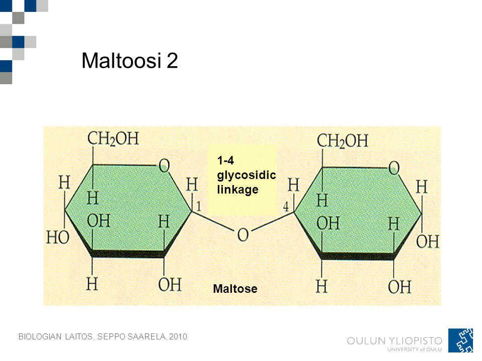 Maltoosi glycosidic linkage Maltose