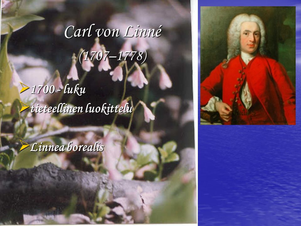 Carl von Linné (1707–1778) luku tieteellinen luokittelu