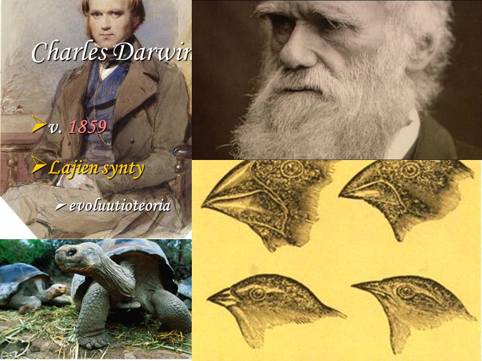 Charles Darwin v Lajien synty evoluutioteoria