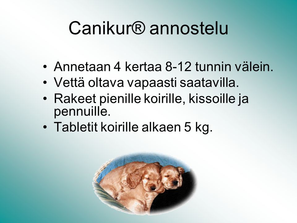 Canikur® annostelu Annetaan 4 kertaa 8-12 tunnin välein.