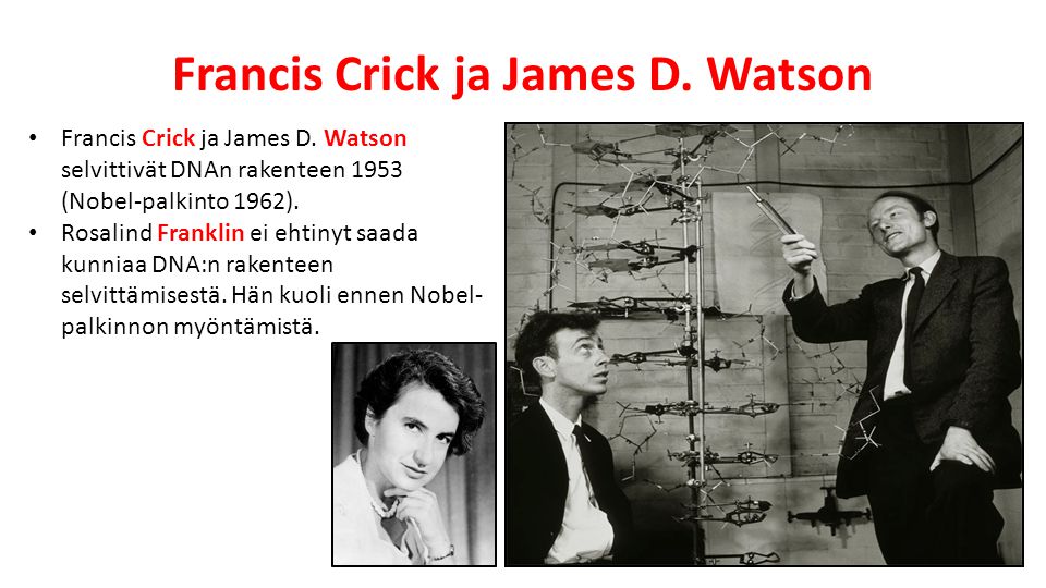Francis Crick ja James D. Watson