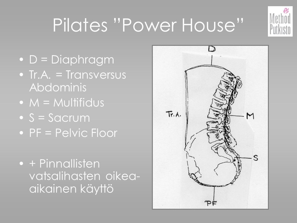 Pilates Power House D = Diaphragm Tr.A. = Transversus Abdominis