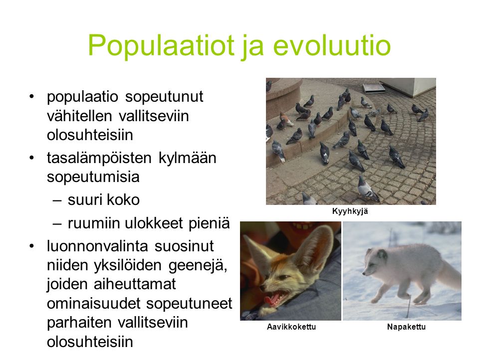 Populaatiot ja evoluutio