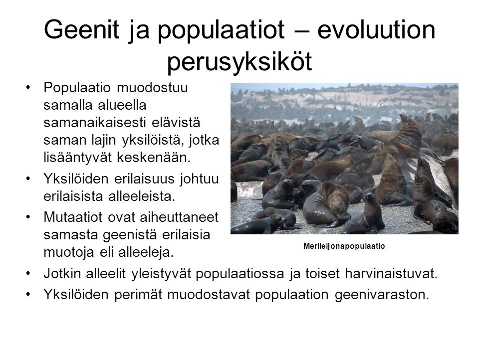 Geenit ja populaatiot – evoluution perusyksiköt