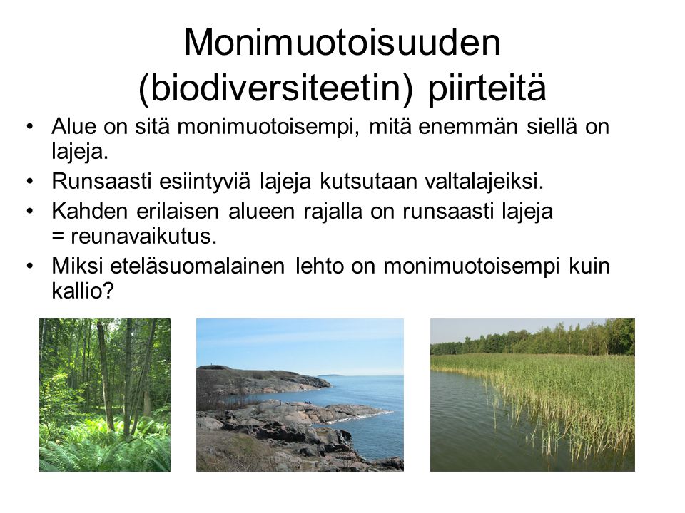 Monimuotoisuuden (biodiversiteetin) piirteitä