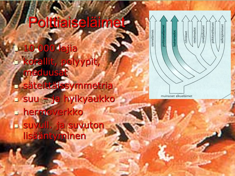 Polttiaiseläimet lajia korallit, polyypit, meduusat