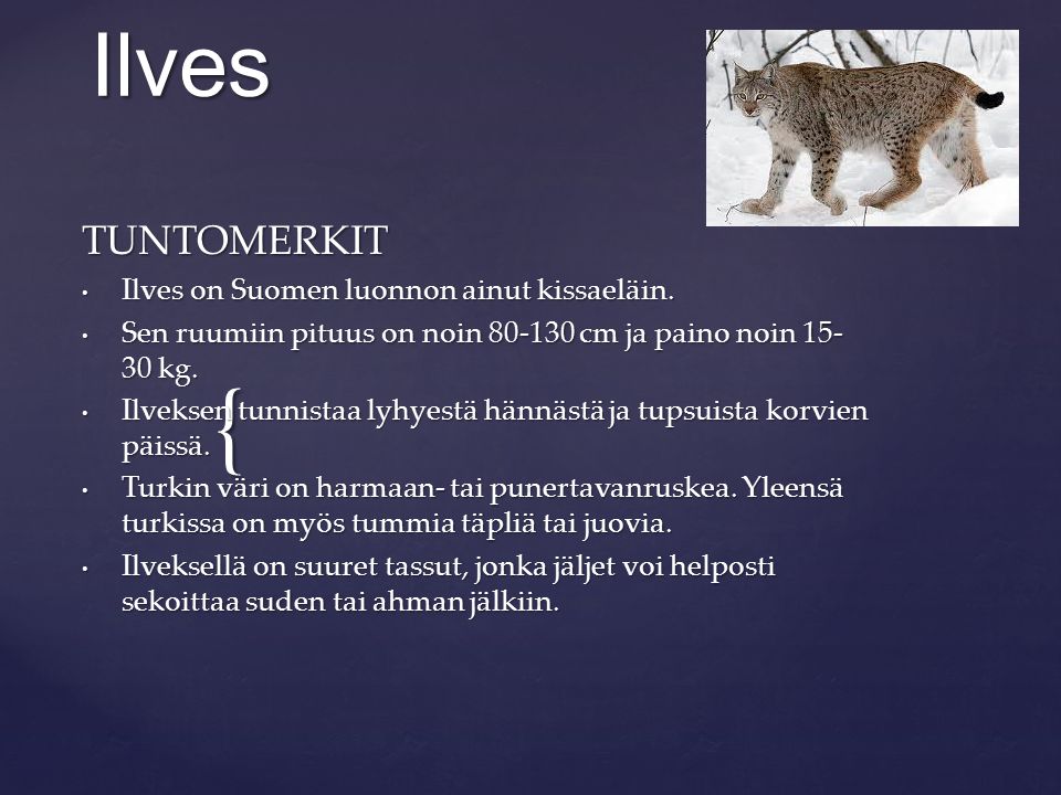 Ilves TUNTOMERKIT Ilves on Suomen luonnon ainut kissaeläin.