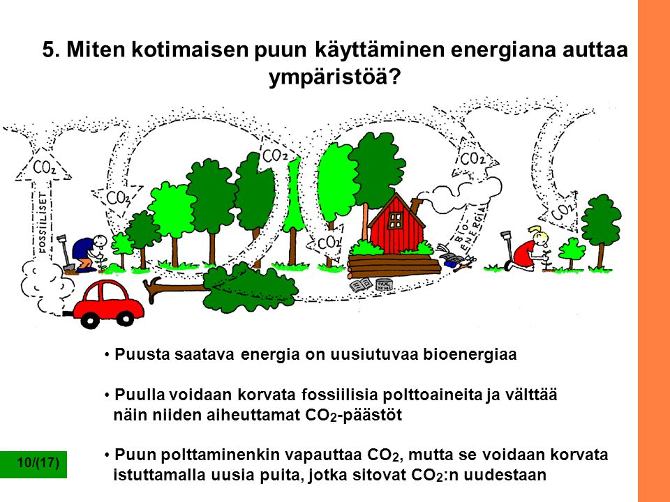 5. Miten kotimaisen puun käyttäminen energiana auttaa ympäristöä