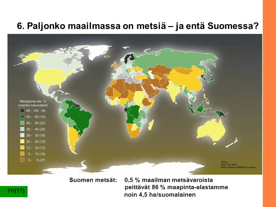 6. Paljonko maailmassa on metsiä – ja entä Suomessa