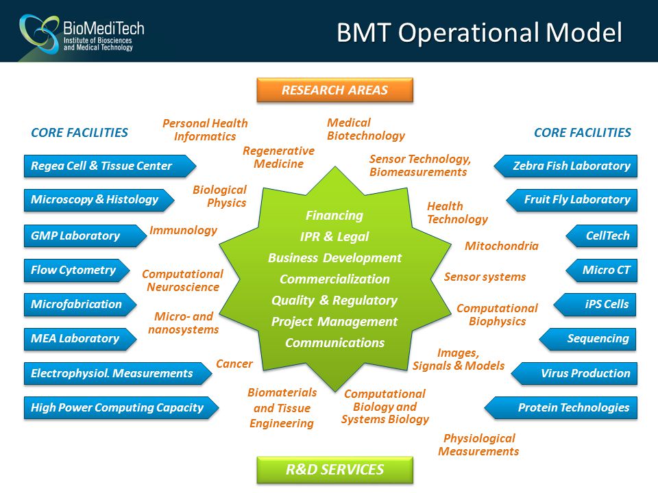 BMT Operational Model R&D SERVICES RESEARCH AREAS CORE FACILITIES