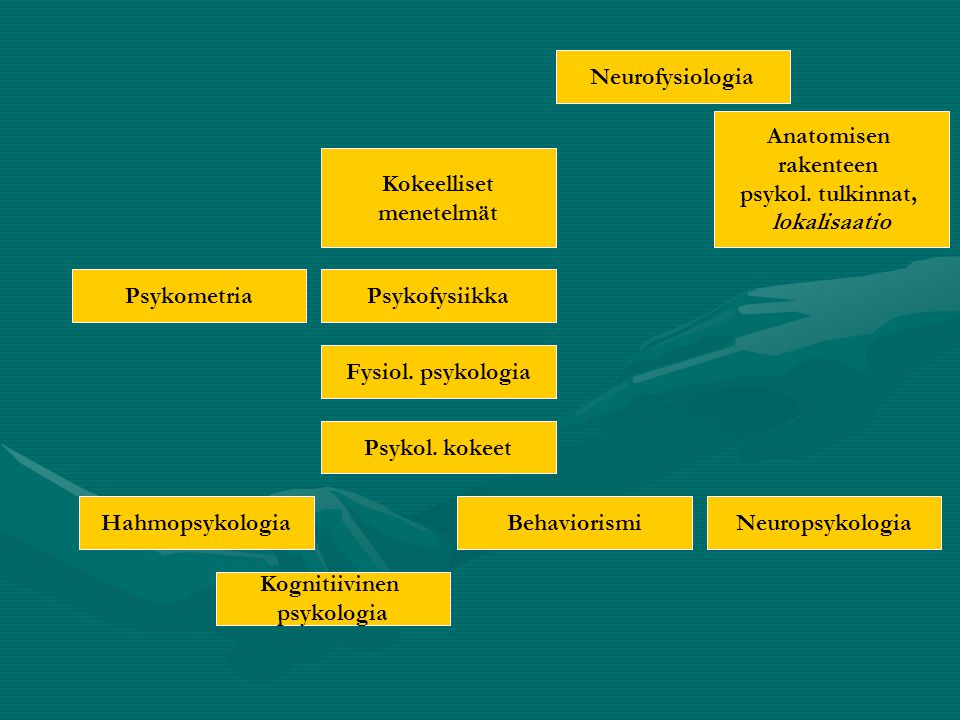 Neurofysiologia Anatomisen. rakenteen. psykol. tulkinnat, lokalisaatio. Kokeelliset. menetelmät.
