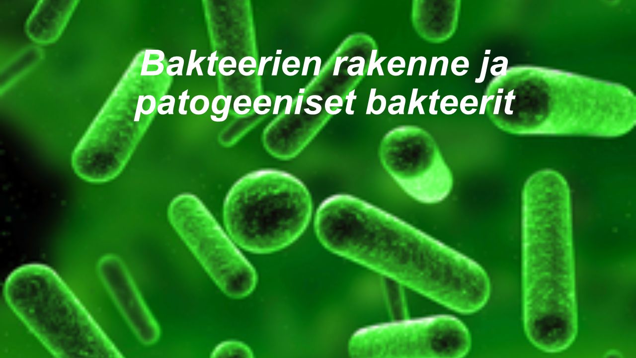 Bakteerien rakenne ja patogeeniset bakteerit