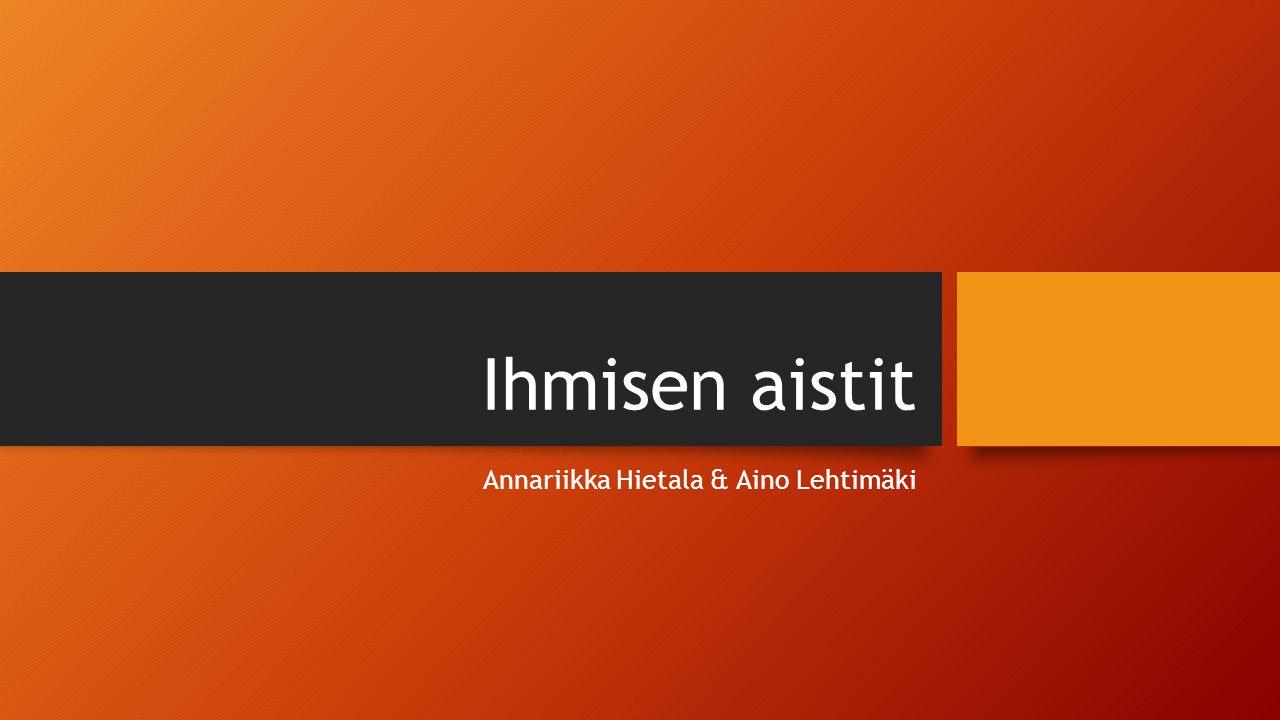 Annariikka Hietala & Aino Lehtimäki