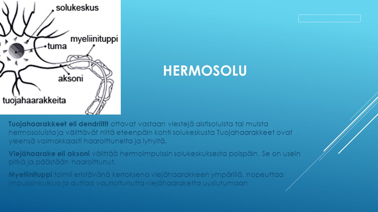 Hermosolu