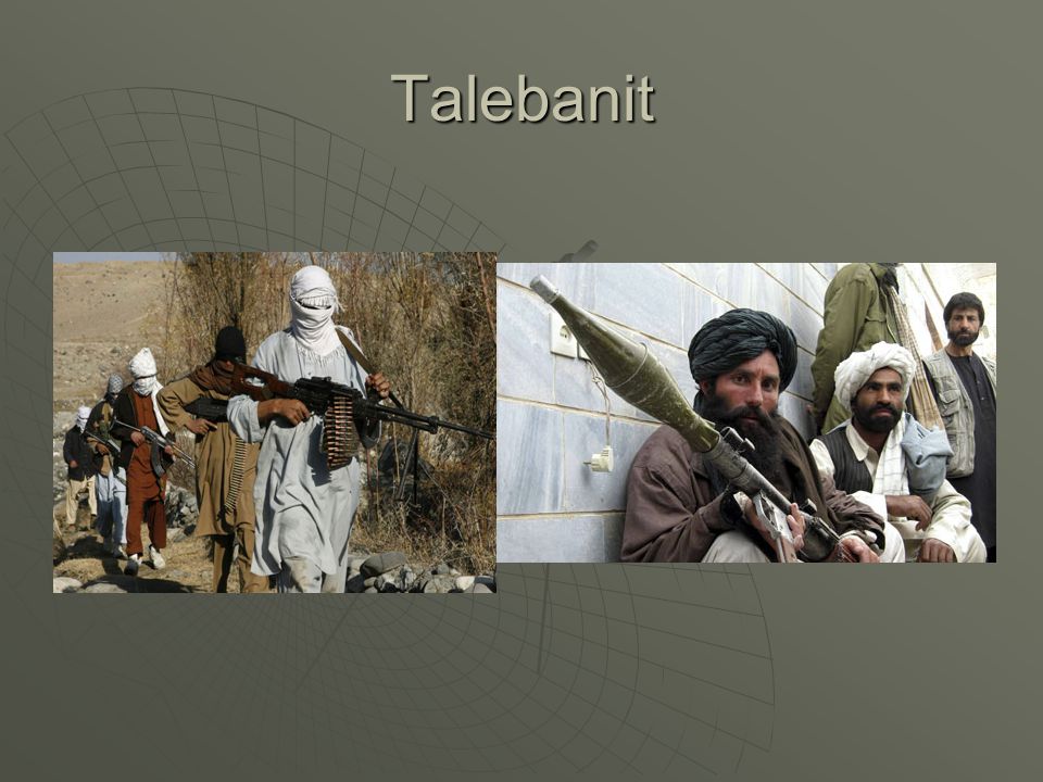 Talebanit